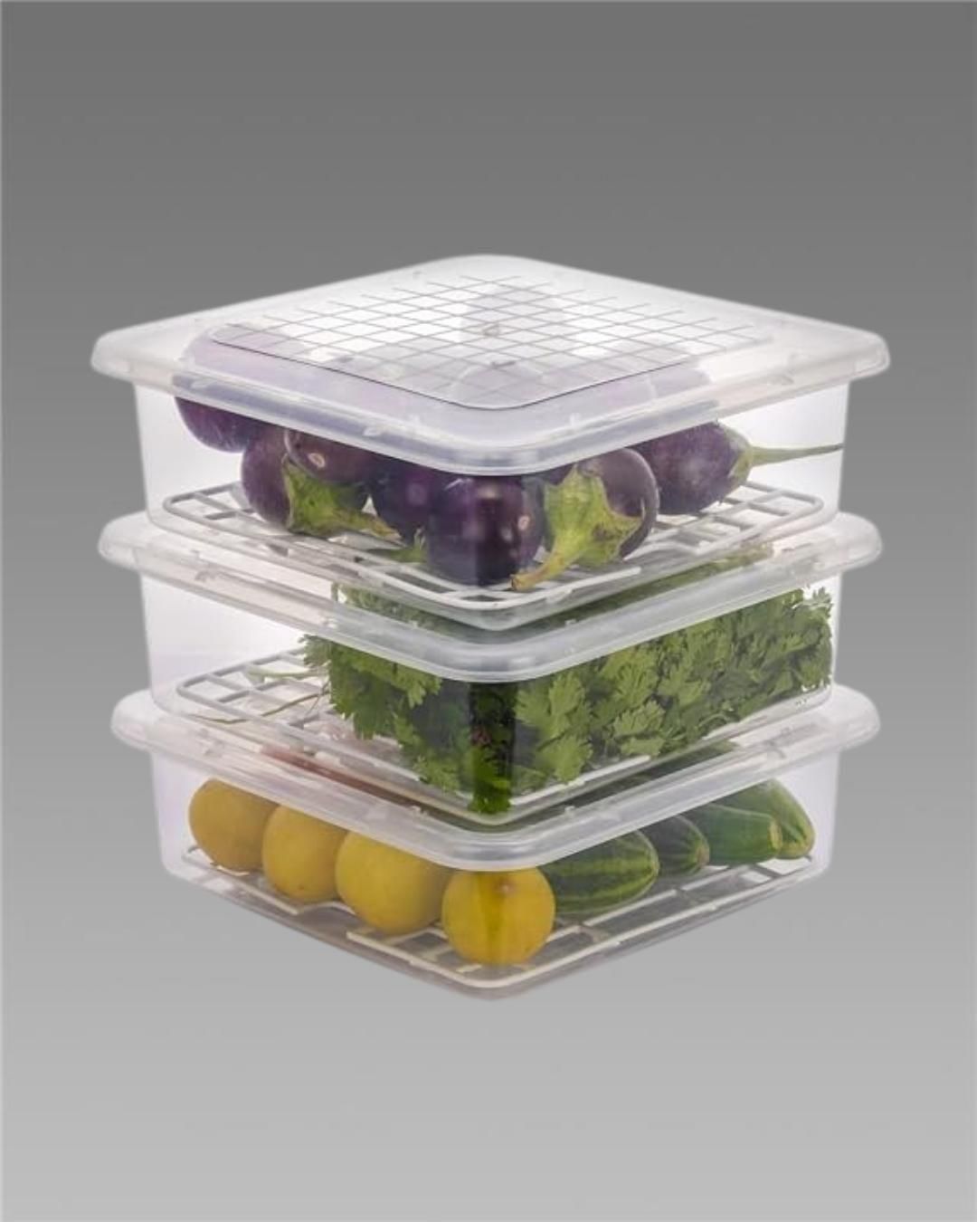 Fridge Storage Containers Box 28*20.5*5.5cm